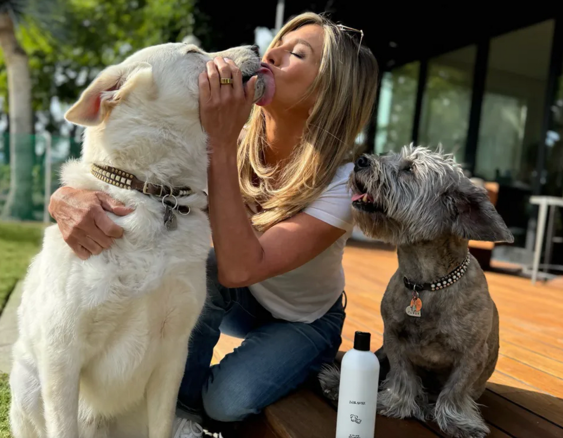 Your Dog Can Now Have Jennifer Aniston’s Gorgeous Hair