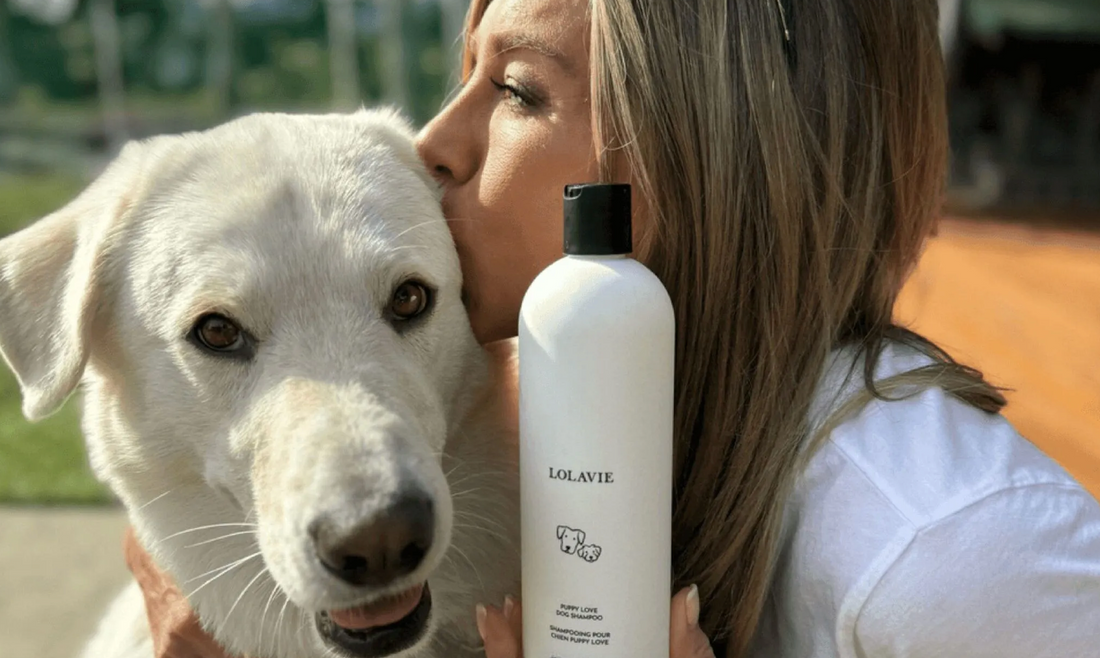 Your Dog Deserves This Chic Shampoo by Jennifer Aniston