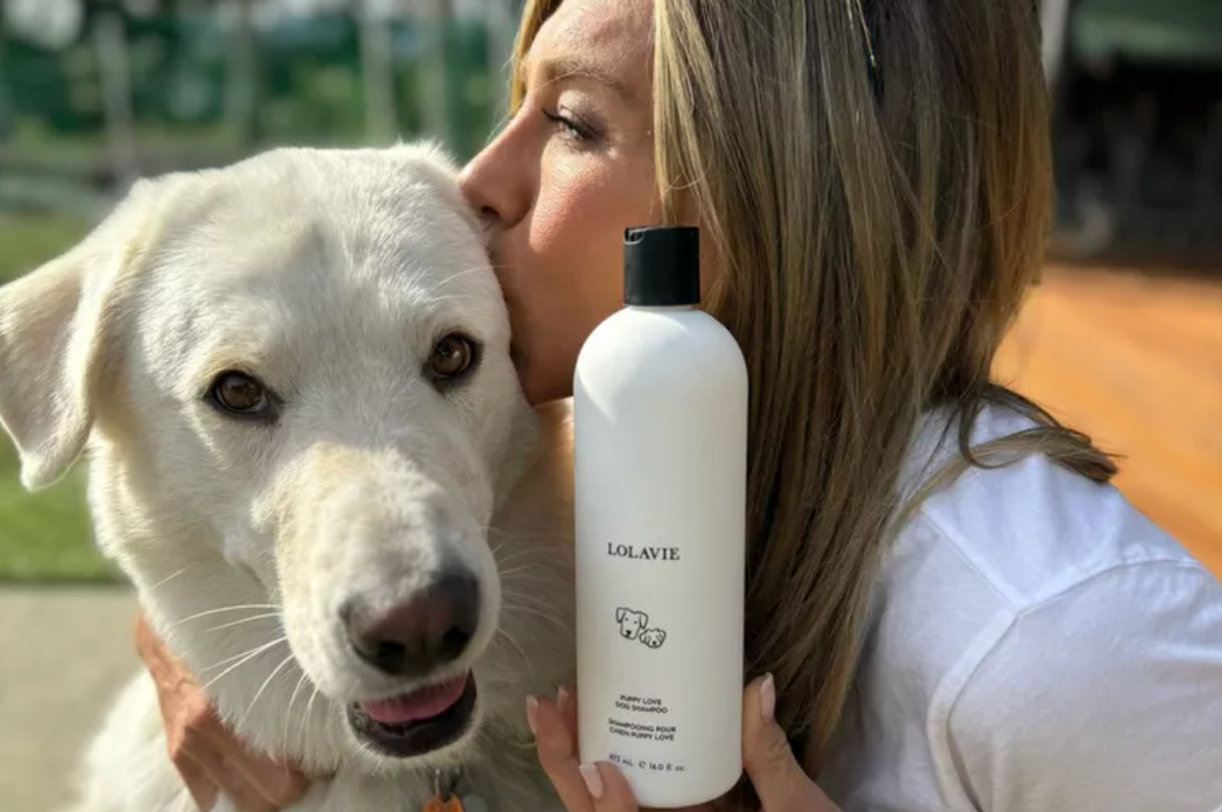 Jennifer Aniston's Haircare Brand Launches Dog Shampoo to Give Pets the Star's 'Soft, Shiny' Hair (Exclusive)