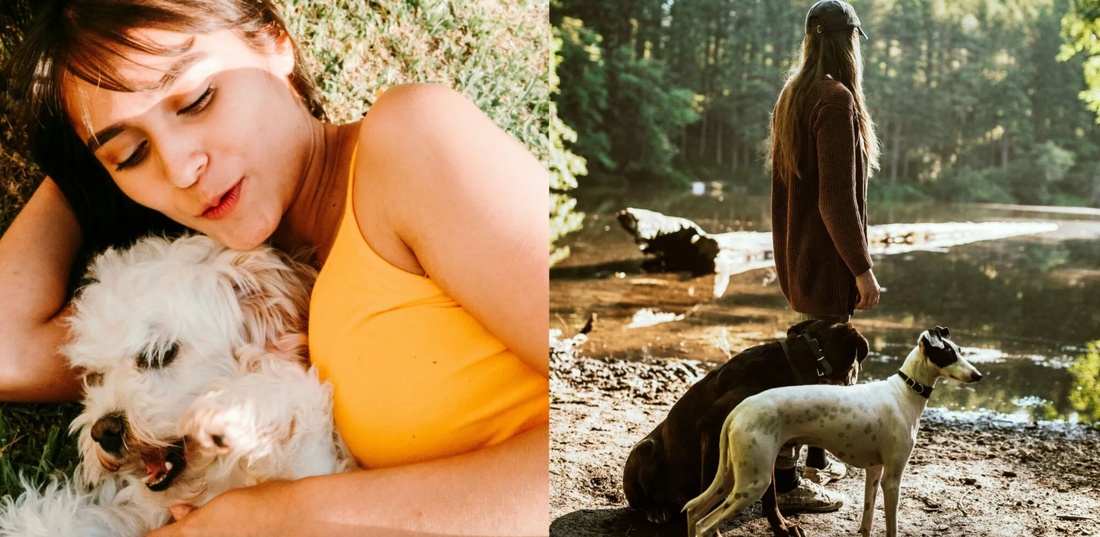 Spoil Your Furry Friends With These Special Gifts