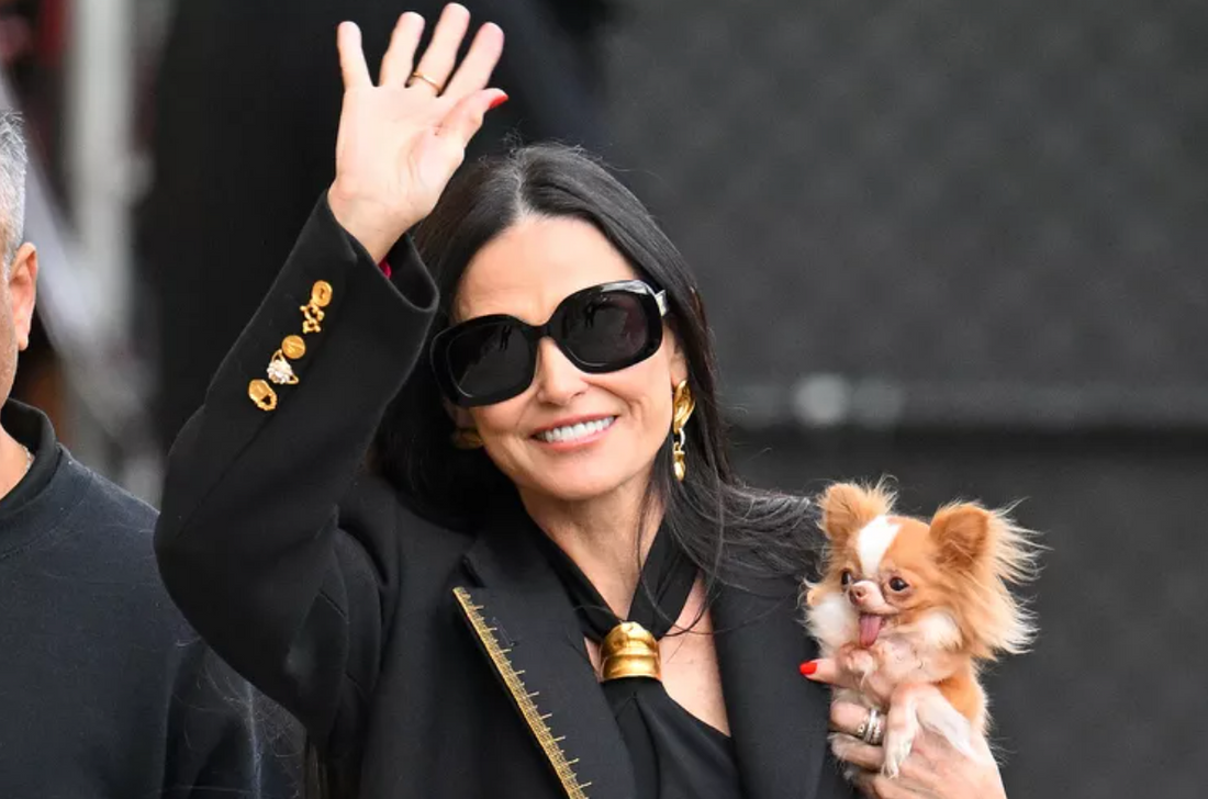 10 Adorable Dogs Who Are Almost as Famous as Their Celebrity Parents