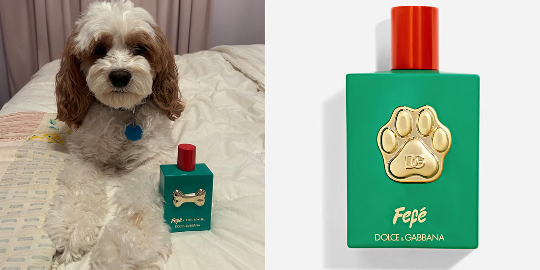 Forget Sephora Kids—It's all About the Sephora Dogs This Holiday Season