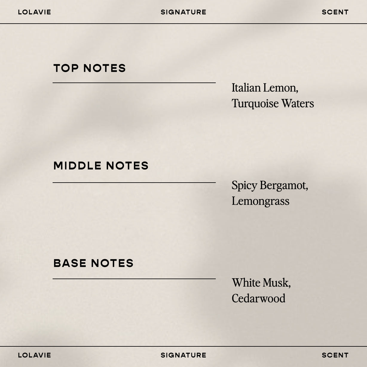 Powder Perfect Dry Shampoo
